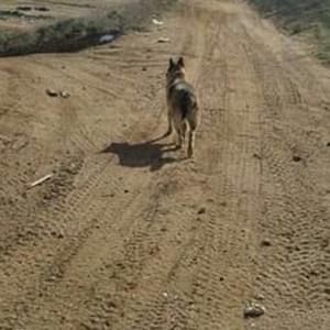 Meet your Posher, Ramos